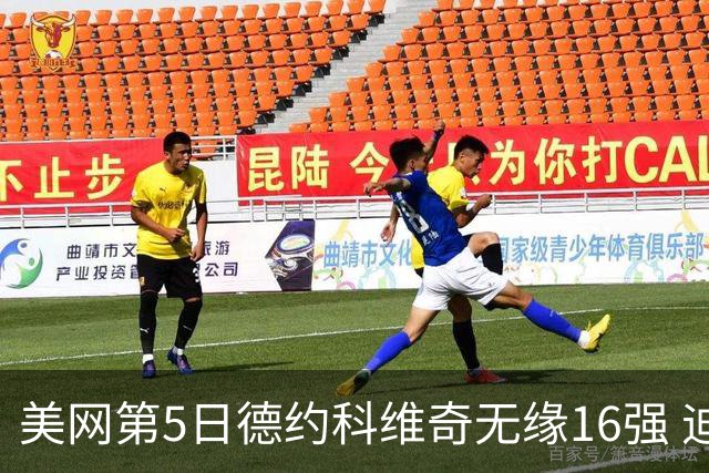 美网第5日德约科维奇无缘16强 迪米卢布列夫会师